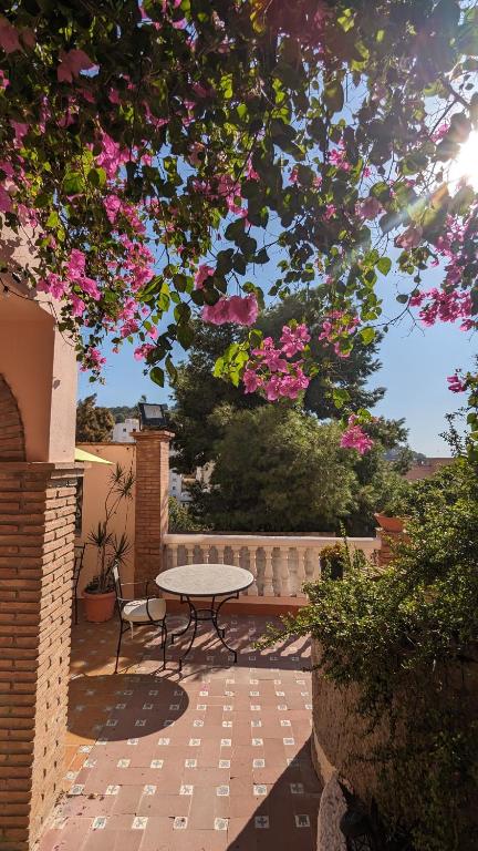 Vonkajšia záhrada v ubytovaní Casa Monte Victoria