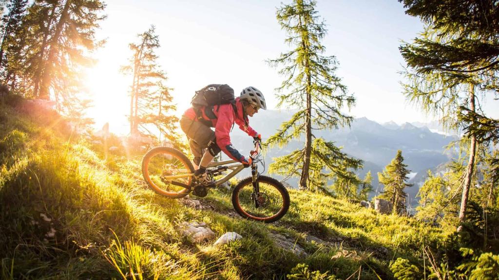 Lakeside Luxury Apartments - 17