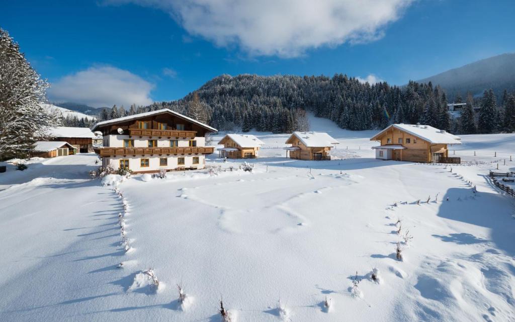 una escena de invierno de un lodge en la nieve en Lehenriedl Appartements, en Wagrain