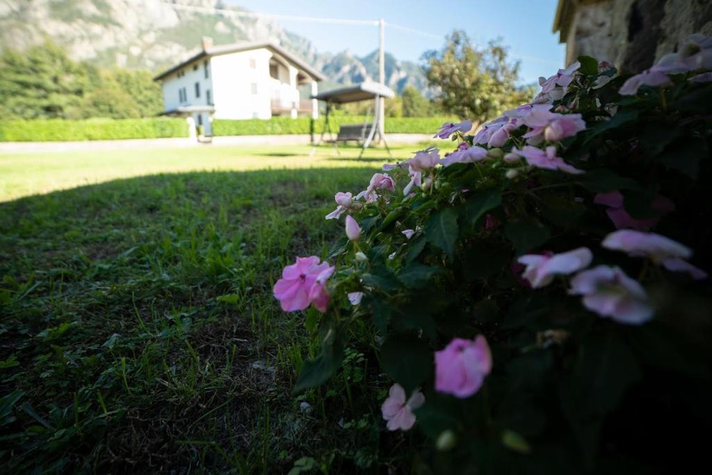 Zahrada ubytování Cascina Pirondini