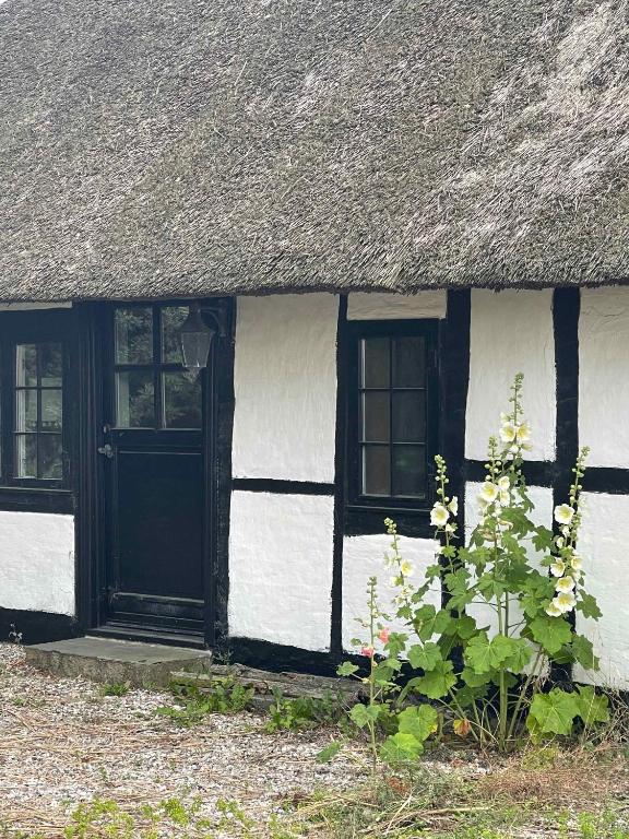 een zwart-wit huisje met een rieten dak bij Charming Cottage Within Walking To Beach in Holeby