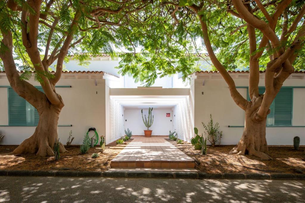 a courtyard with two trees in front of a building at Vivienda Vacacional Pasito Blanco 1 in Pasito Blanco