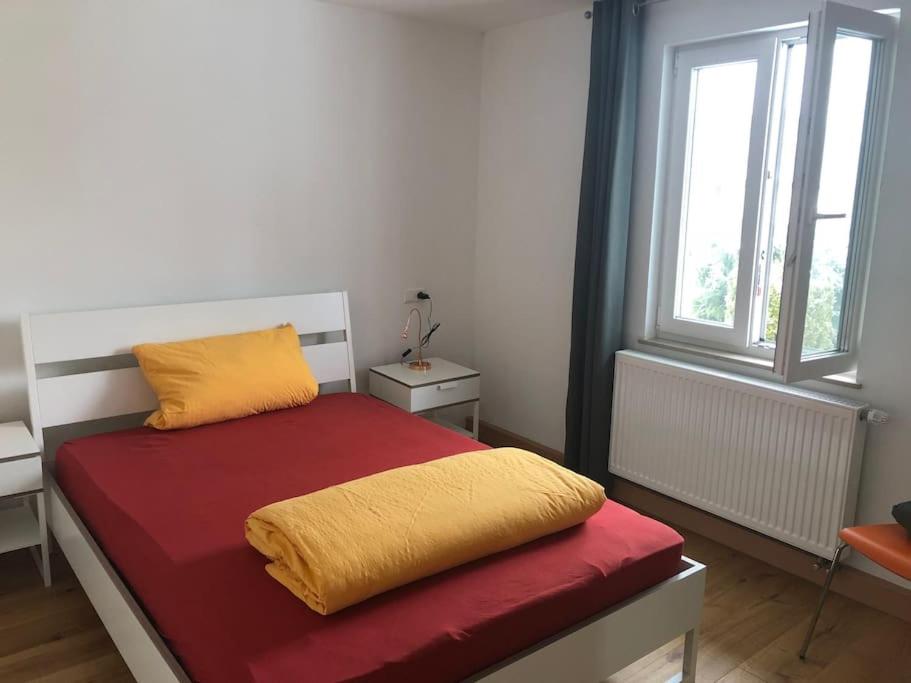 una camera da letto con un letto con un cuscino giallo di Wohnung 3 Söflingen a Ulma