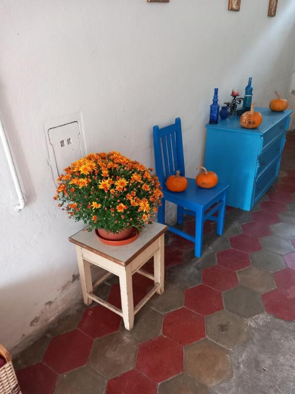 Spí v Kuklenách - 10