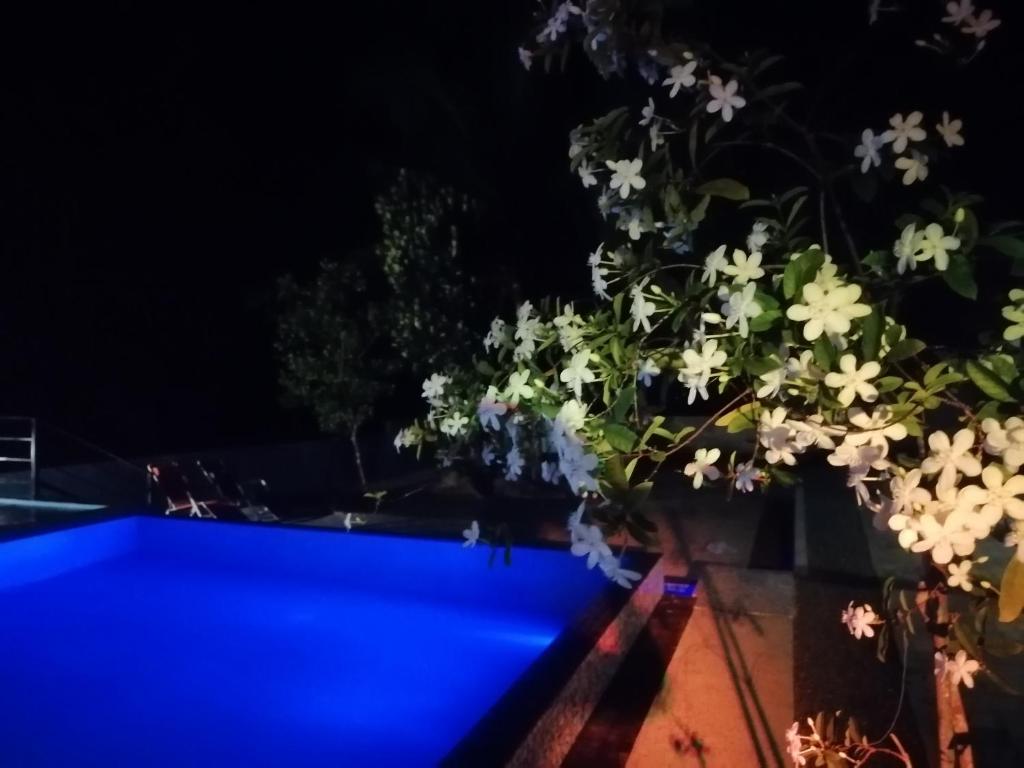 Bazén v ubytování Ellakanda Nature Villa nebo v jeho okolí
