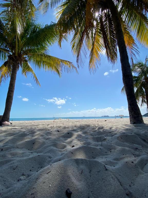 twee palmbomen op een strand met zand en de oceaan bij Wynwood Beds in Miami