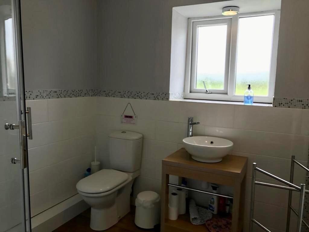 uma casa de banho com um WC, um lavatório e uma janela em Strawberry Fields em Liverpool
