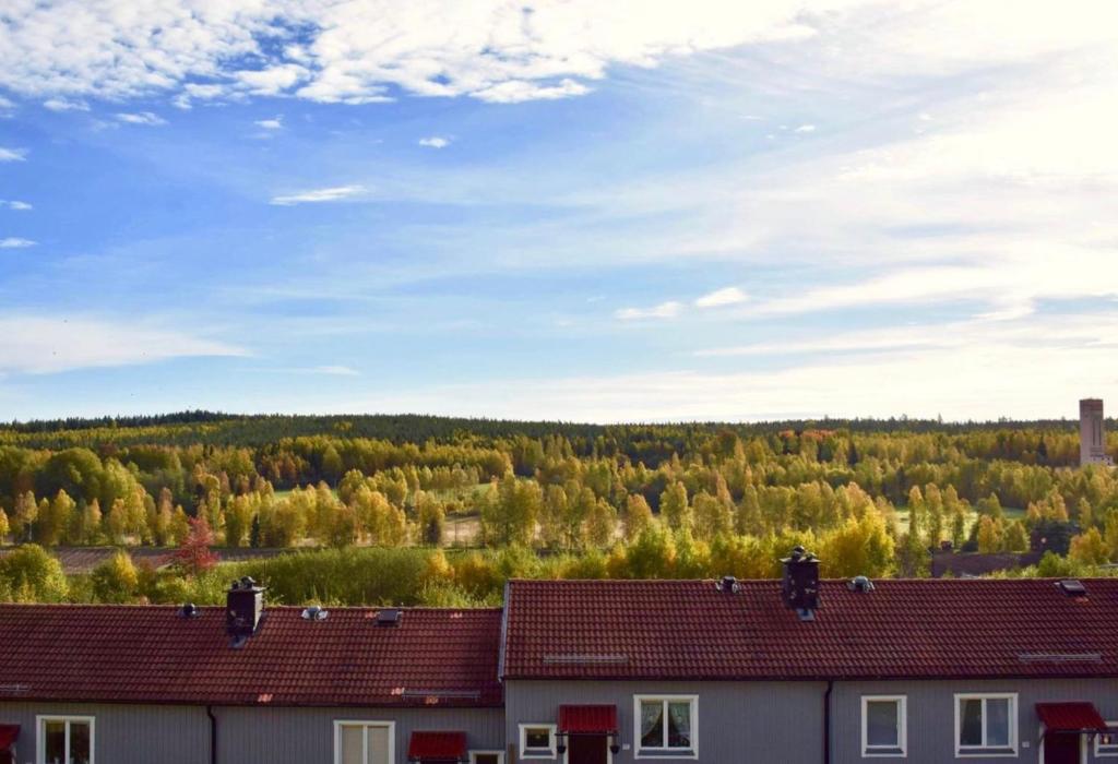 a group of houses with trees in the background at Högalid in Torsåker