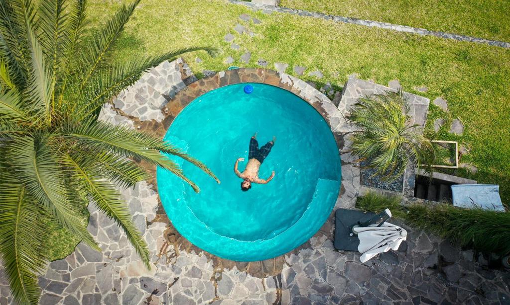 - une vue sur un chien dans la piscine dans l'établissement Hotel en Azpitia, à Miraflores