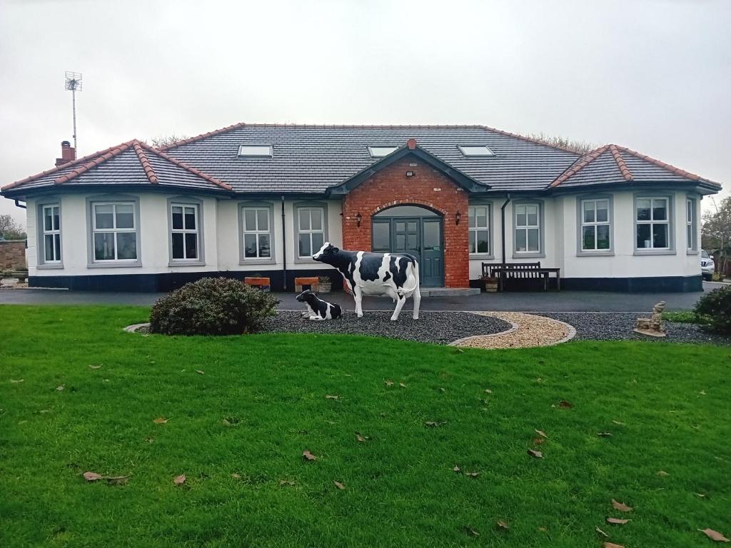 una estatua de una vaca delante de una casa en Creeghduff Lodge en Downpatrick