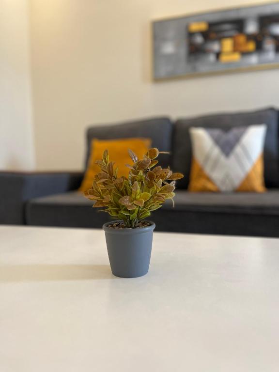 LONG TERM STAY DISCOUNTS(INBOX NOW!!), Kampala Preços atualizados 2024