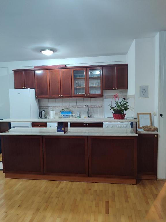 Kuchyň nebo kuchyňský kout v ubytování Apartman 19