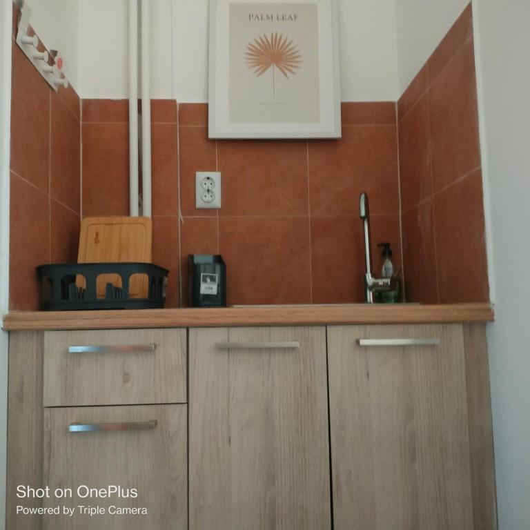 Kuchyň nebo kuchyňský kout v ubytování Central Sophisticated Studio Pyrgos near Olympia