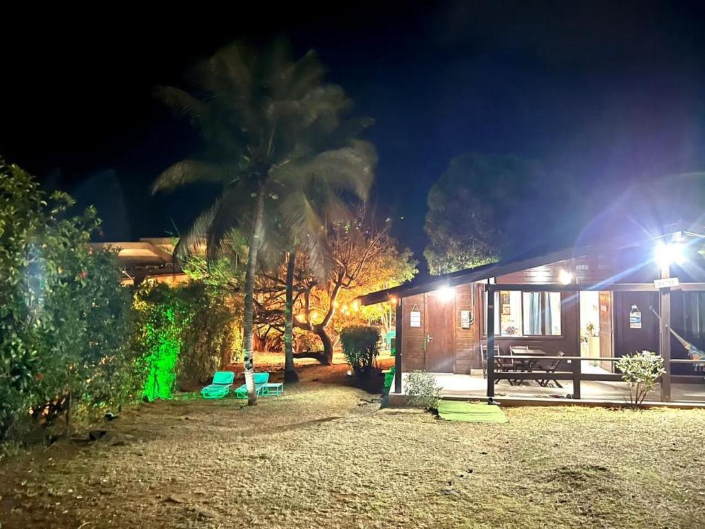 een huis met een palmboom er 's nachts voor bij Casa Renascer in Fernando de Noronha
