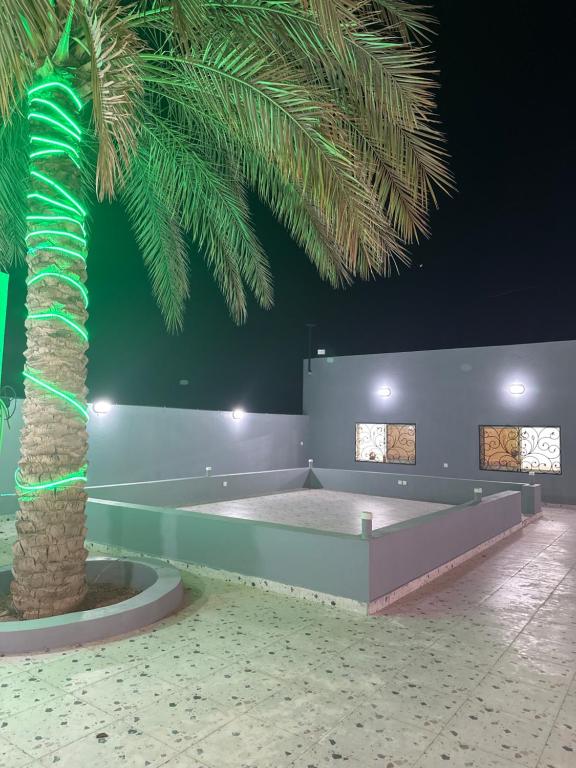 a palm tree in a room with a bed at استراحة سعد للايجار اليومي in Jubbah