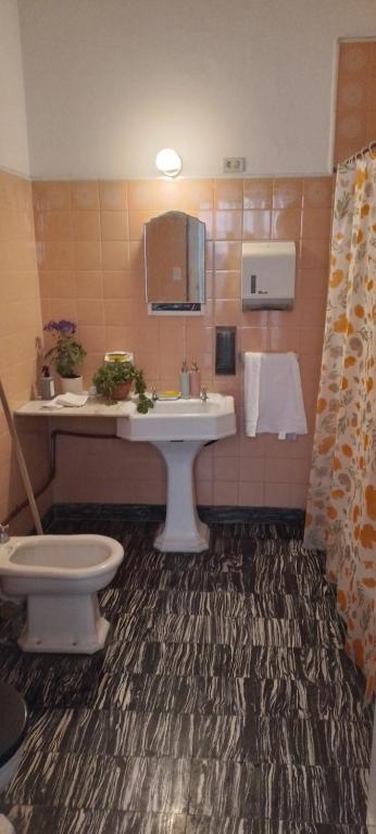 a bathroom with a sink and a toilet at La Casa de las Flores in Salta