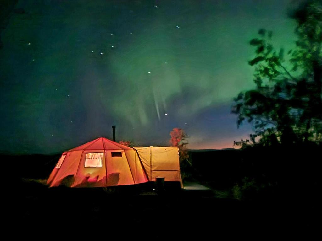 Finnmark Glamping في ألتا: خيمة حمراء وبيضاء في حقل تحت النجوم
