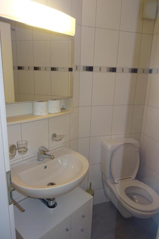 bagno con lavandino, servizi igienici e specchio di Aare Studio 2 a Interlaken