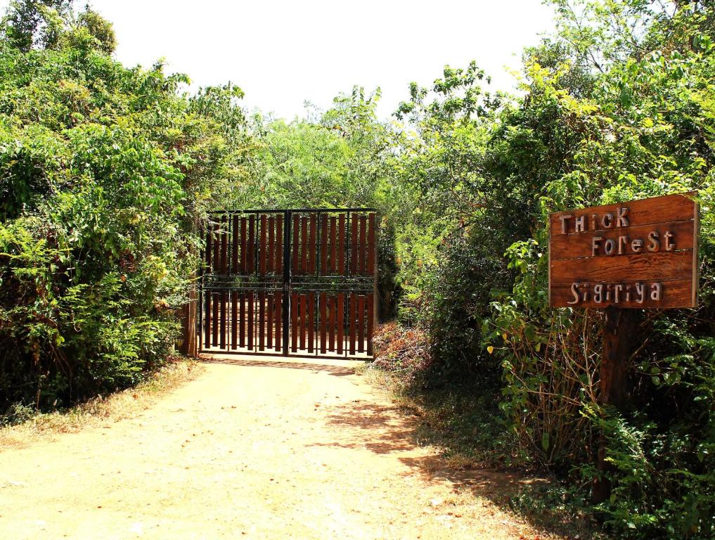 Fotografie z fotogalerie ubytování The Thick Forest v destinaci Sigiriya