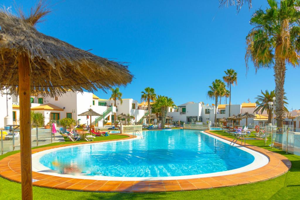 a large swimming pool with palm trees and houses at Dunas of Love in Caleta De Fuste