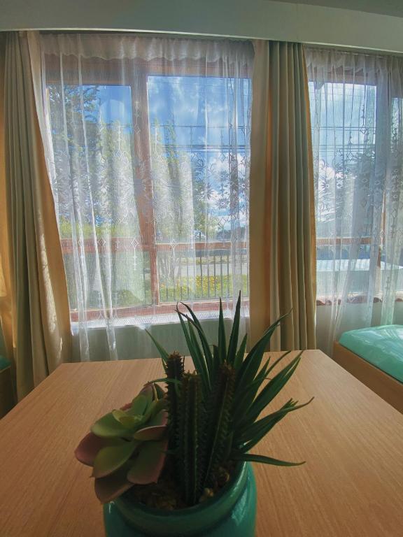 Postel nebo postele na pokoji v ubytování Indomito Sur Hostel