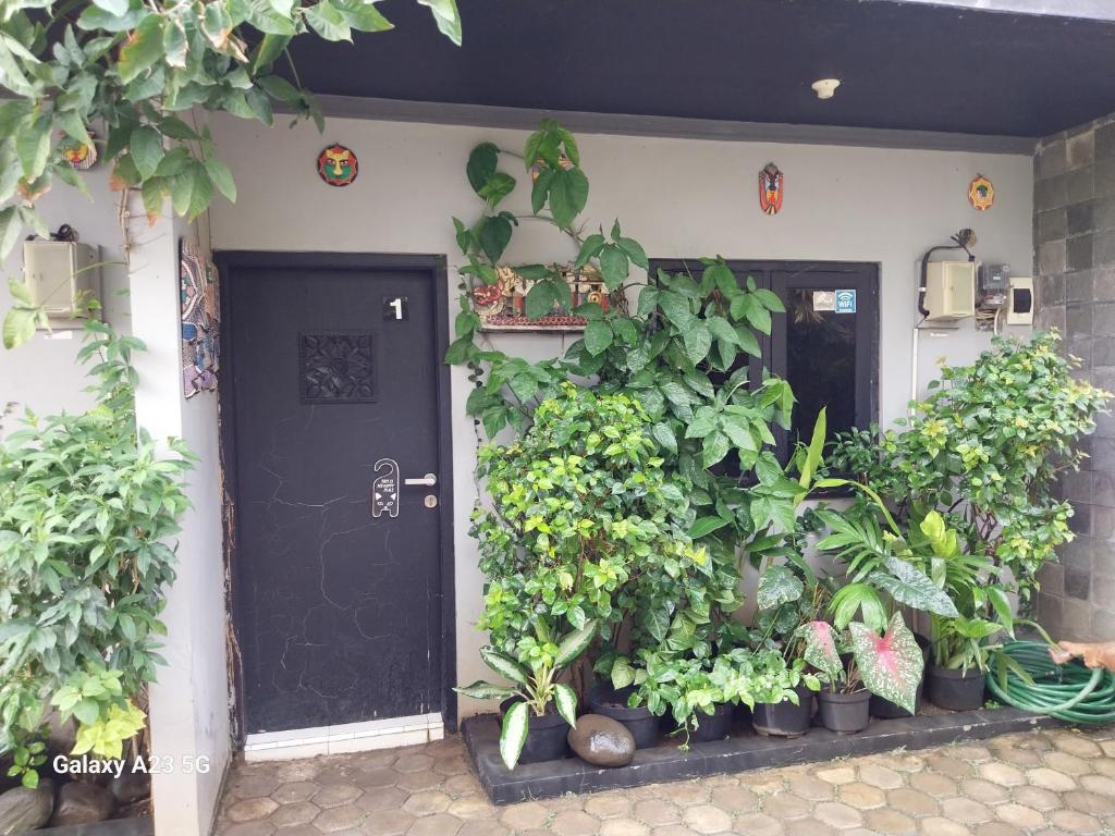 Giardino di CIDERES HOLIDAY HOME