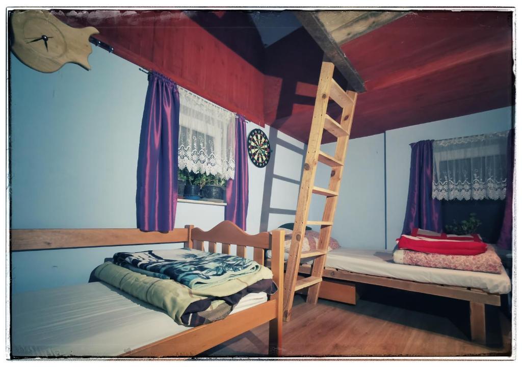 a bedroom with a bunk bed and a ladder at Cinderella Guitars in Czartoria