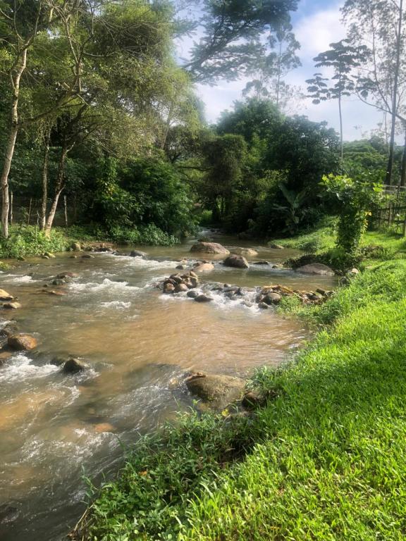 une rivière avec des rochers et des arbres dans un champ dans l'établissement Casa de temporada Xerém, à Duque de Caxias