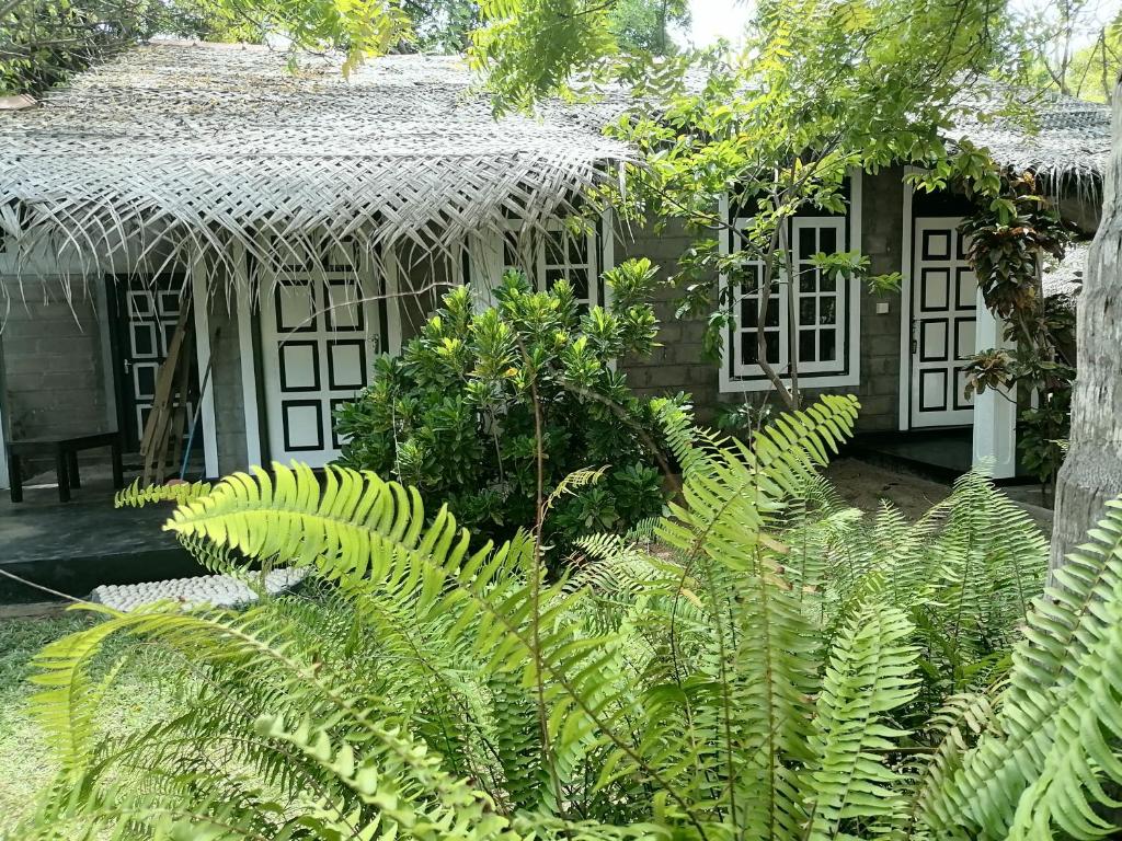 Zahrada ubytování Werala Beach Resort