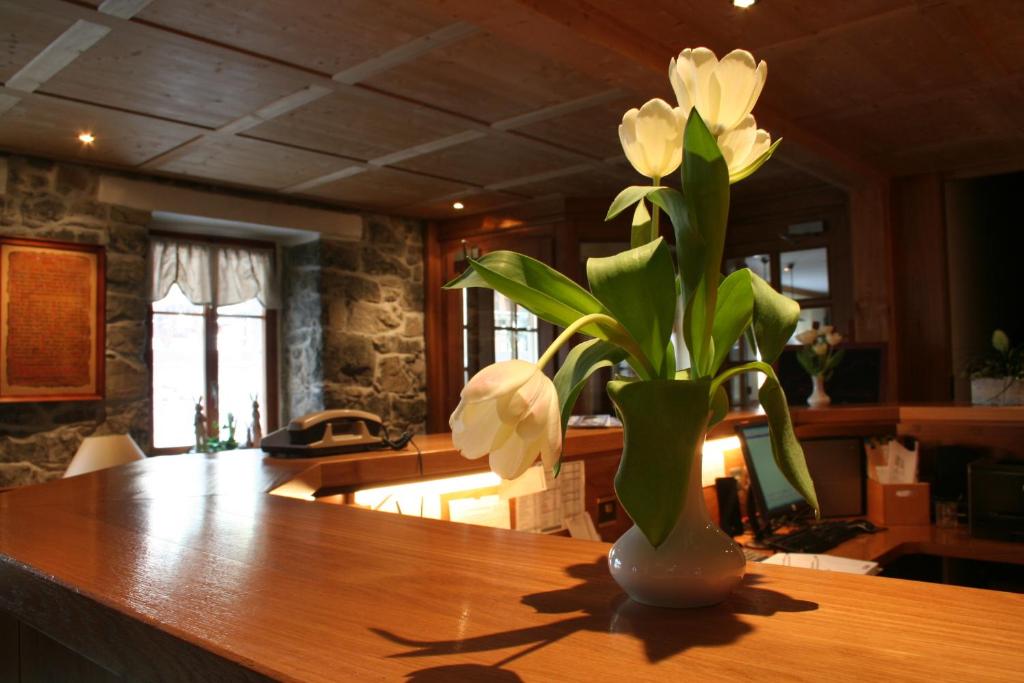 Fotografie z fotogalerie ubytování Hotel Suisse v destinaci Champéry