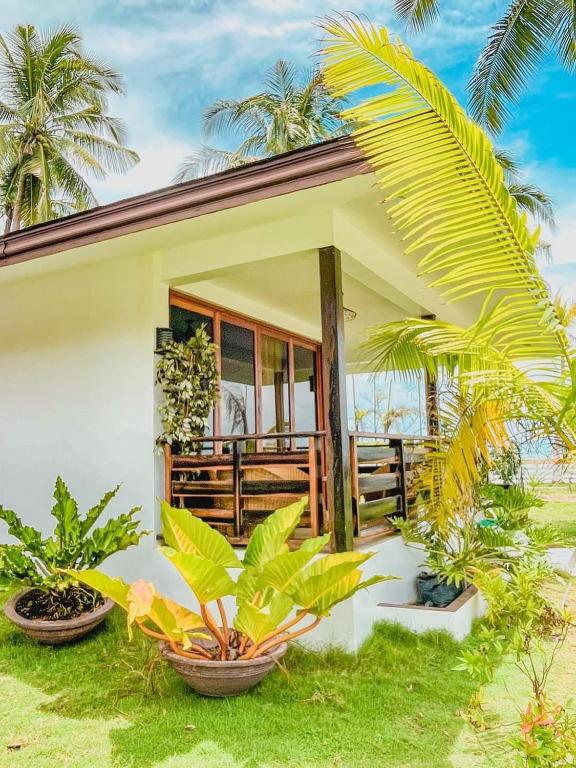 Zahrada ubytování Villa Royal Palawan