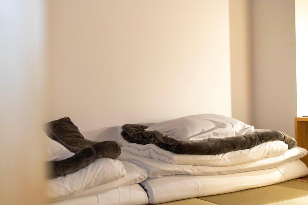 Iwashi Building Hostel - 