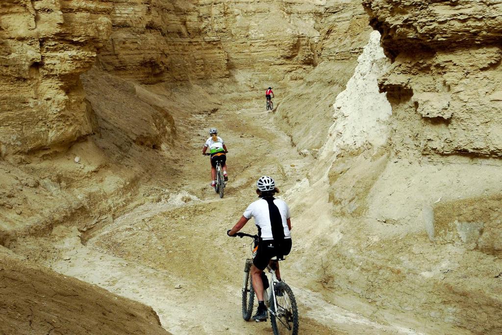 Hosté ubytování Belfer's Dead Sea Cabins