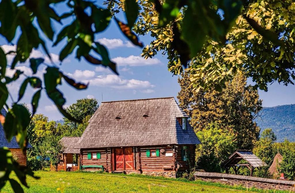 Gallery image of Complex Tradițional Casa din Vale Breb in Breb