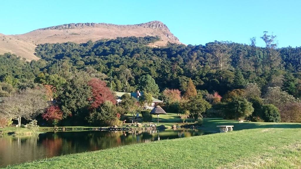 a view of a lake with a mountain in the background at Mount Park Guest Farm in Dargle
