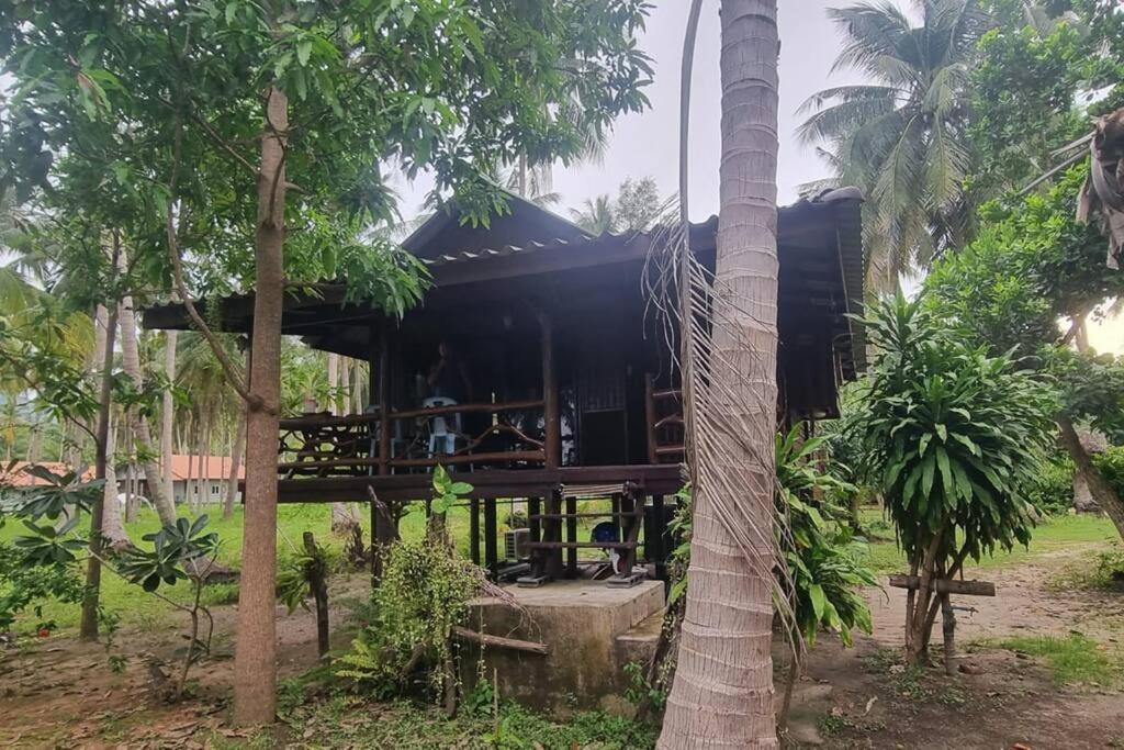 a house in the middle of some trees at Beachfront Bungalow lll in Chaloklum