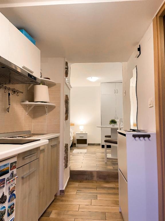 Kuchyňa alebo kuchynka v ubytovaní Studio Ricardo, Opatija