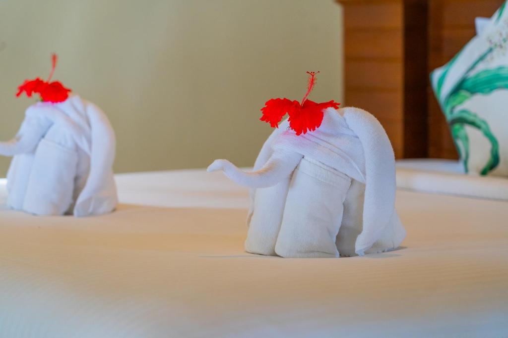 The Tropical Beach Resort - 16