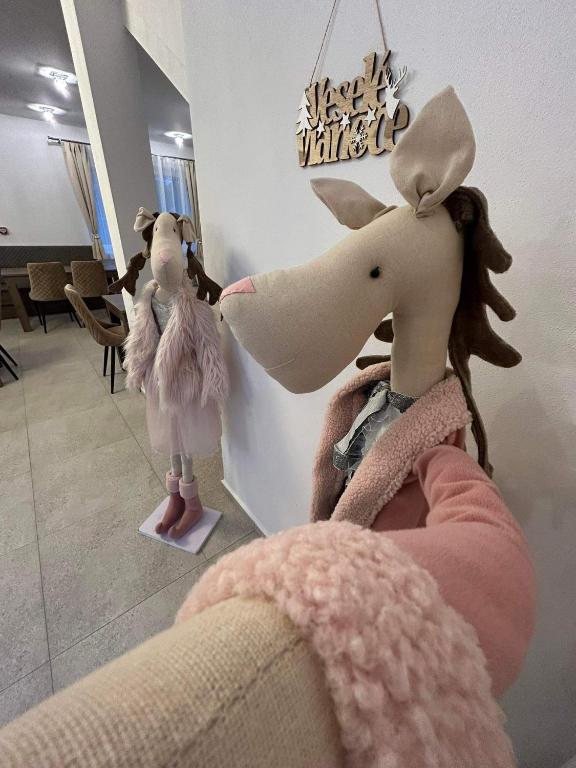 Hosté ubytování Zafír