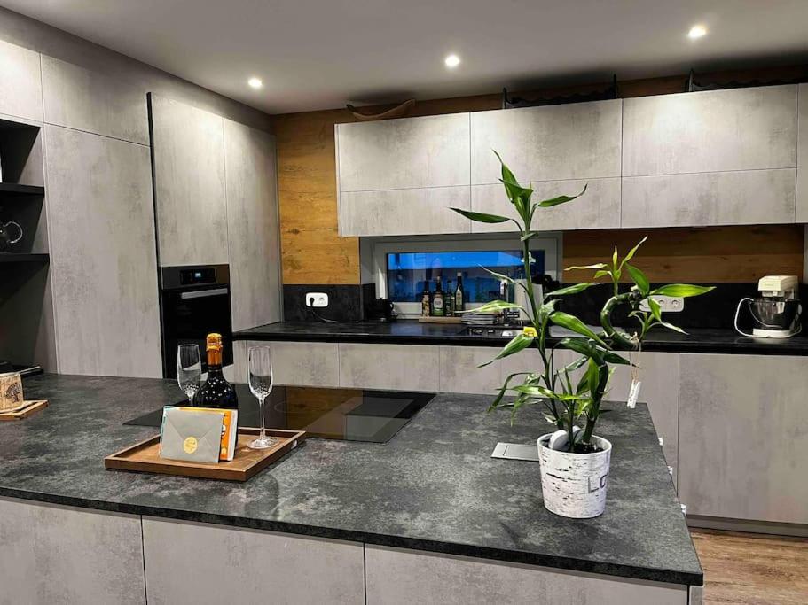 a kitchen with a counter with a plant on it at Apartment Reißeck in Penk