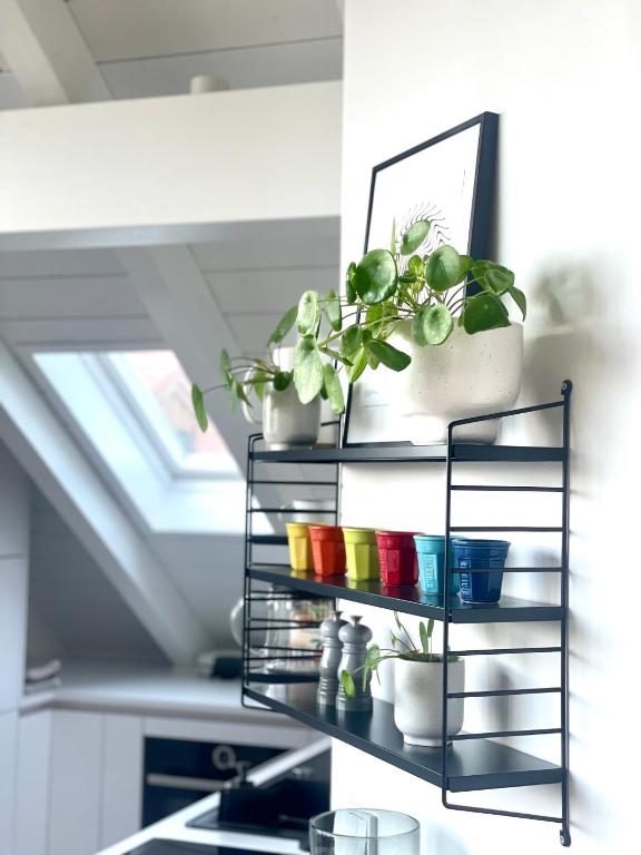 Kuchyň nebo kuchyňský kout v ubytování Gemütliches Loft