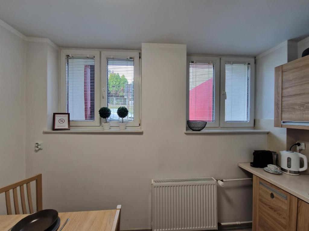 Kuchyň nebo kuchyňský kout v ubytování Apartament w Śródmieściu