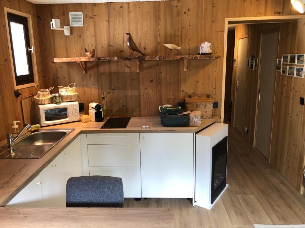 Kuchyň nebo kuchyňský kout v ubytování Appartement 6 personnes aux 2 Alpes, au pied des pistes - Wi-fi, Parking gratuit, Terrasse vue sur jardin