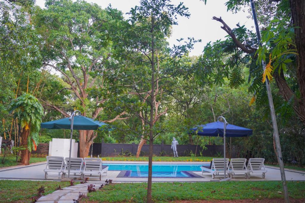 a group of chairs and umbrellas next to a pool at Royal Retreat, Sigiriya in Sigiriya