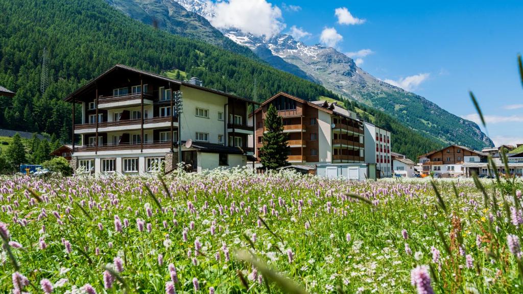 un campo de flores frente a una montaña en Apartments Atlas, en Saas-Grund