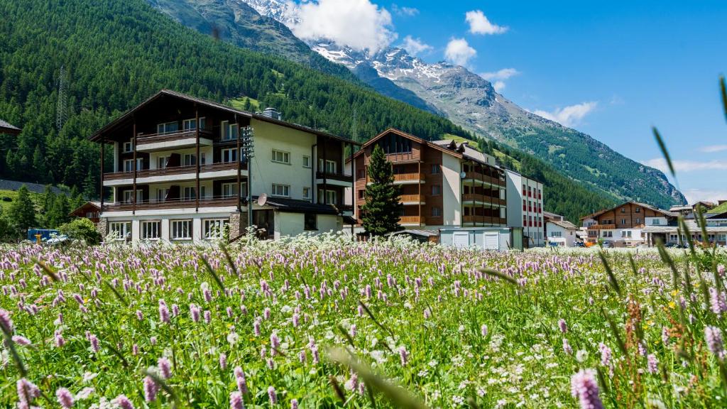 a field of flowers in front of a mountain at Apartments Atlas in Saas-Grund