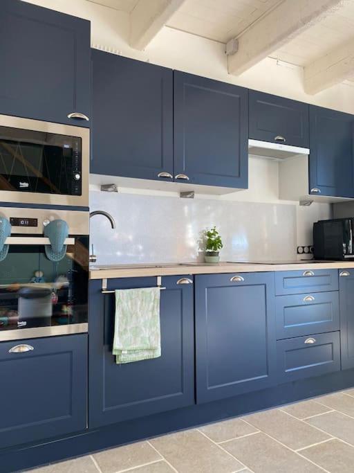 - une cuisine bleue avec des placards bleus et un évier dans l'établissement Domaine Font Castel - Gîte Faimes, à Béziers