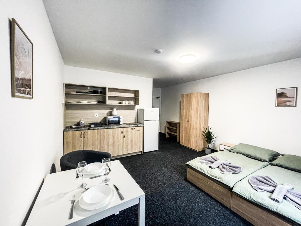 Kuchyň nebo kuchyňský kout v ubytování Apartmány Plzeň Zborovská 22 a