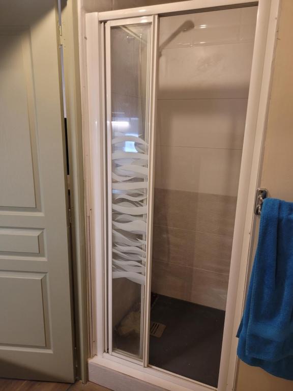 a glass shower door with a glass shelf in a bathroom at studio 27m2 in Quissac