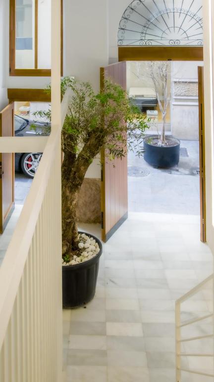 Catalina Suites Apartments Downtown Valencia - Resim 18